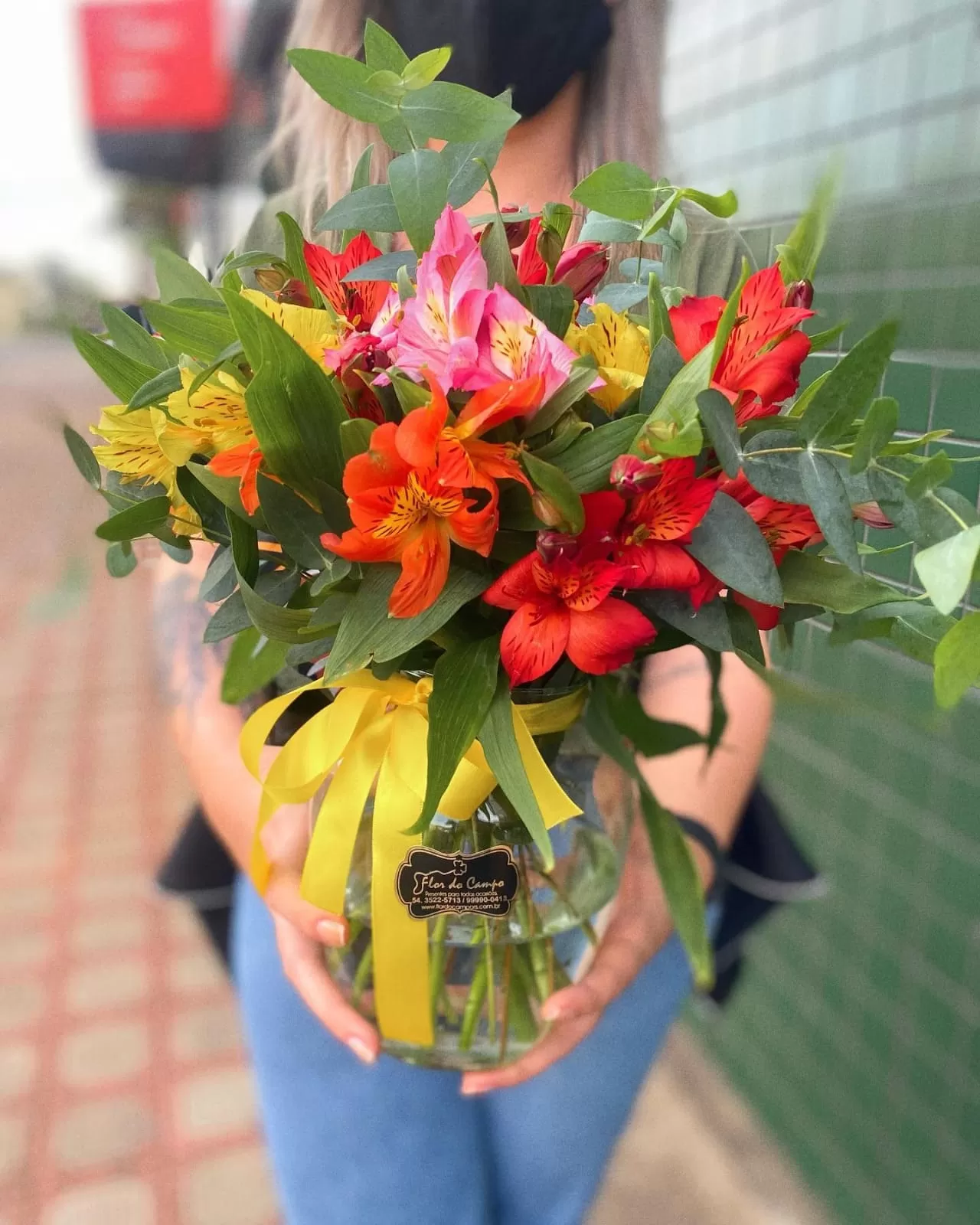 Lindas Astromélias - Imagem 3