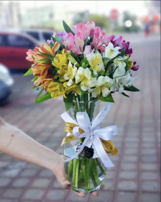 Lindas Astromélias - Imagem 2